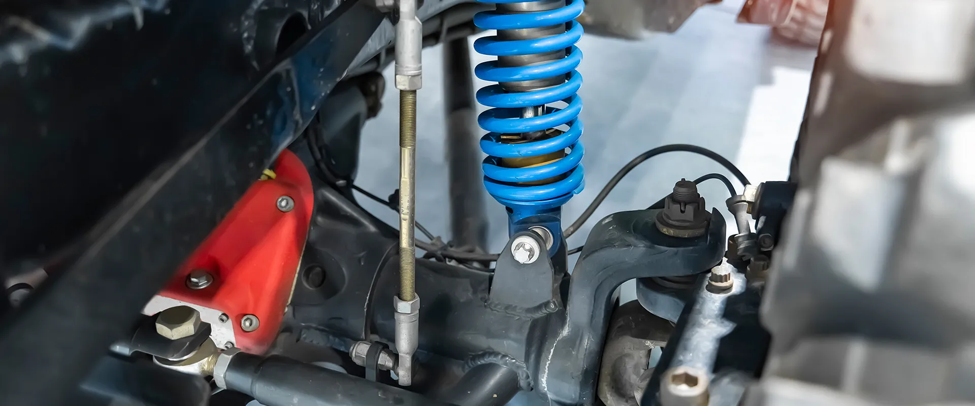 Socks and Struts near Richfield, MN